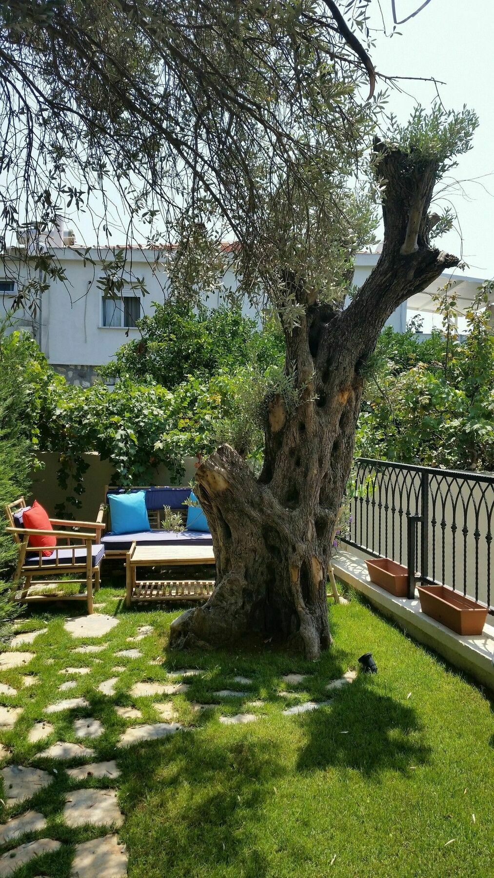 Cassiopeia Hotel Alaçatı Extérieur photo