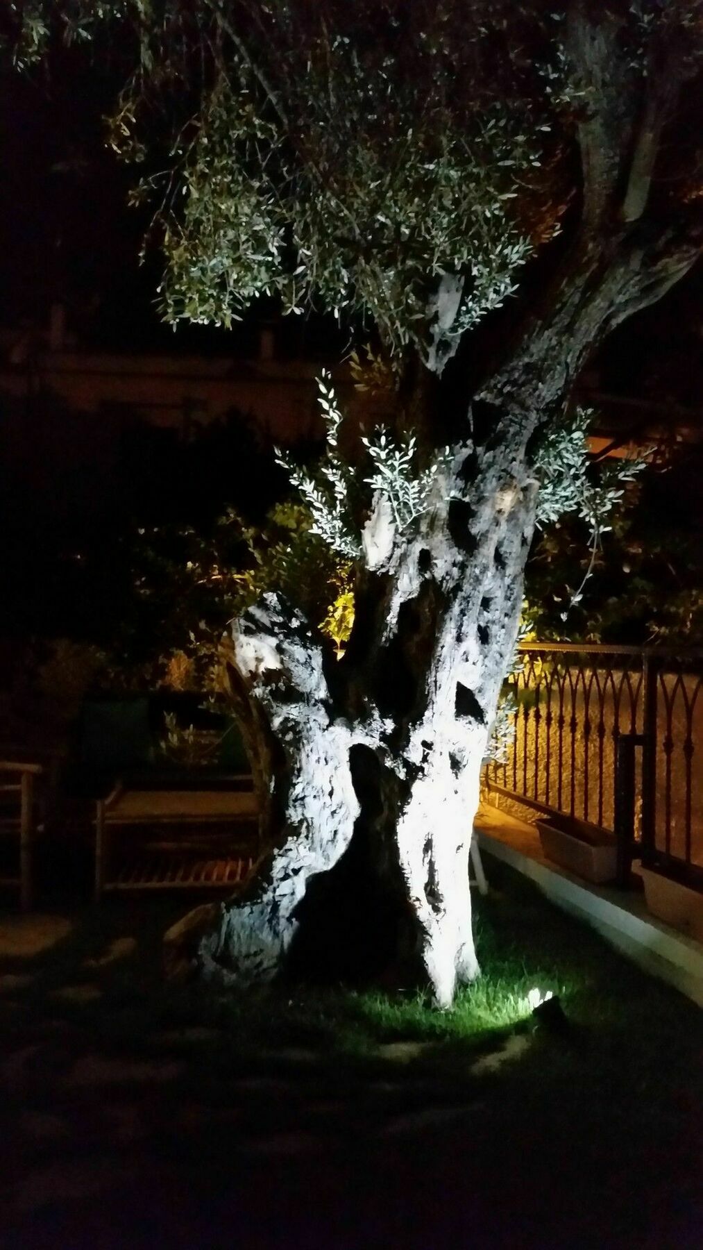 Cassiopeia Hotel Alaçatı Extérieur photo