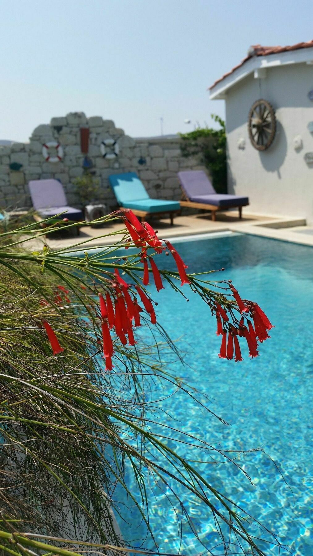 Cassiopeia Hotel Alaçatı Extérieur photo